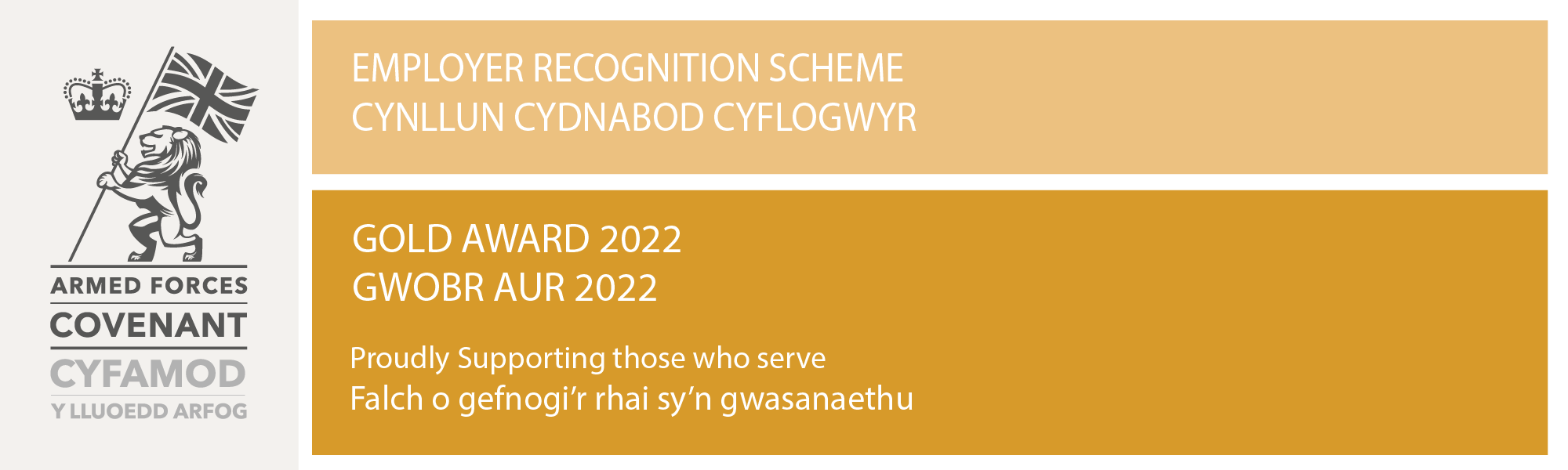 ERS Gold Banner 2022 Welsh